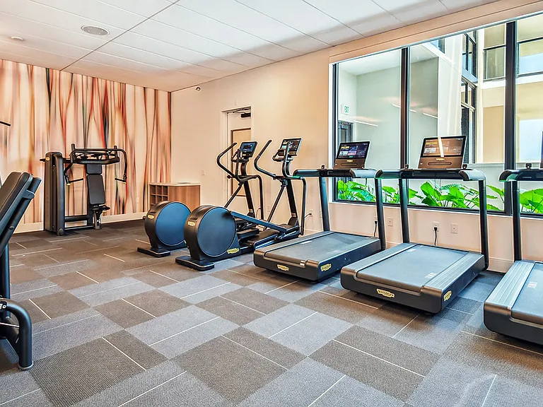 Griffis West Palm apartments fitness center with cardio machines and weight equipment.