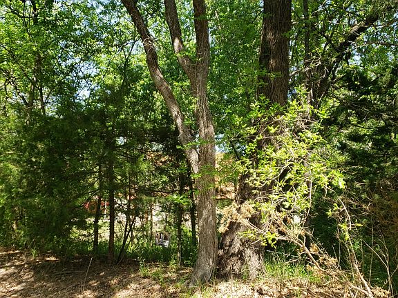 3rd image of 946 County Road 1036