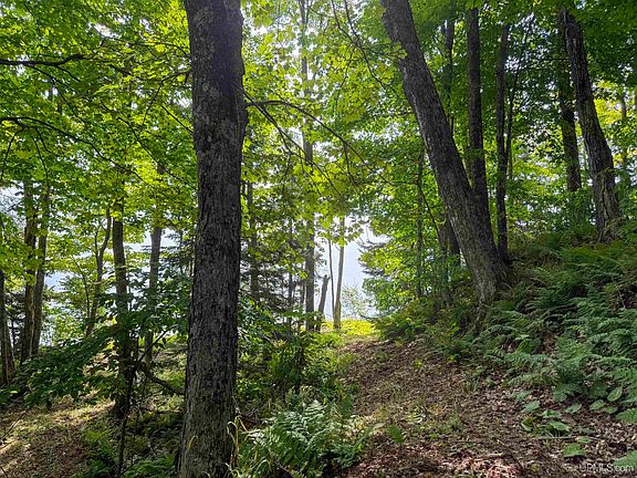 5th image of 11367 Desrochers Rd