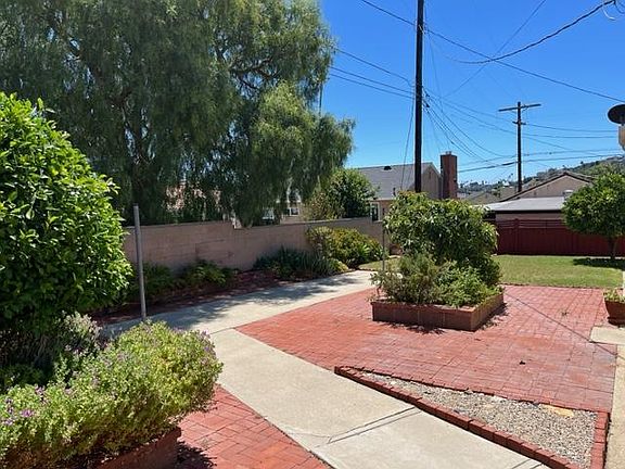 Large spacious backyard with avocado tree.