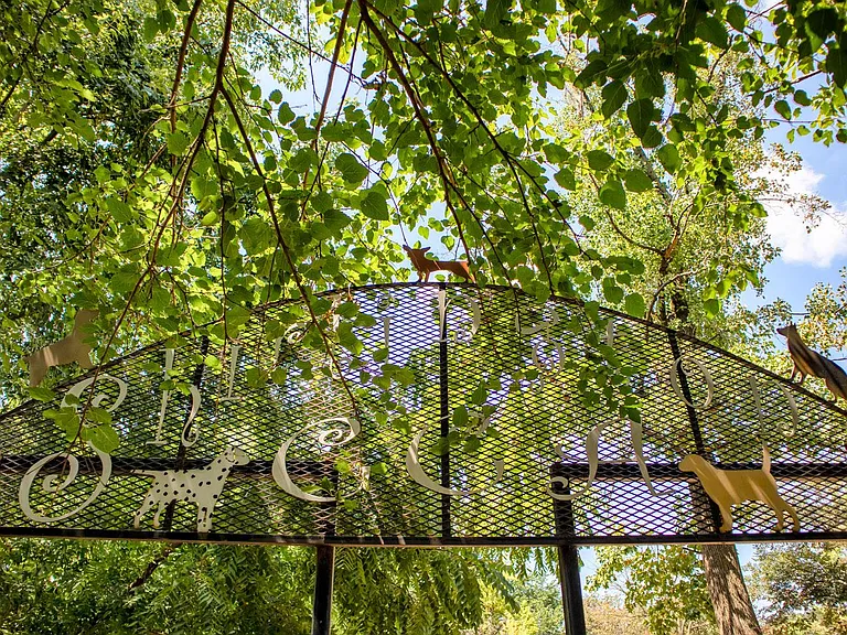 Array at West Alex — Photo 22