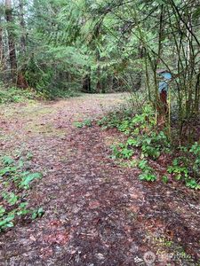 231 N Goldeneye Drive, Hoodsport, WA, 98548