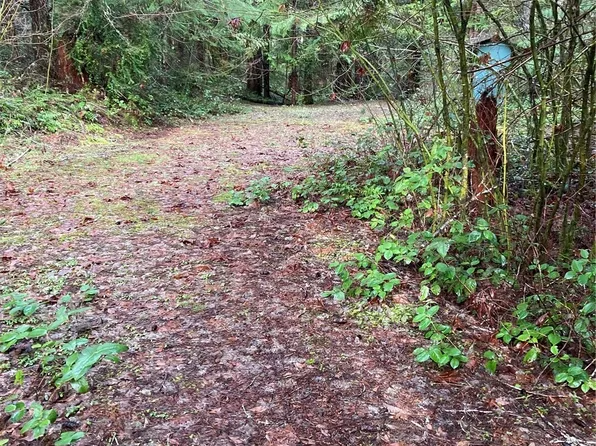 231 N Goldeneye Drive, Hoodsport, WA 98548