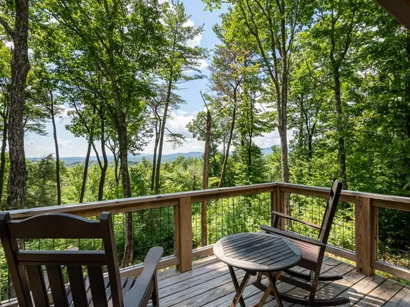 21 Davenport Ct, Cherry Log, GA 30522