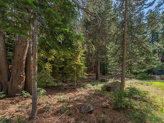 5th image of 10594 Pine Cone Dr