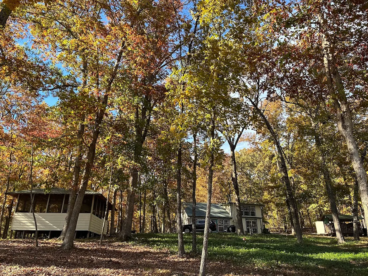 3 bed, 1.5 bath, 1575 sqft, $3,200 — Photo 3