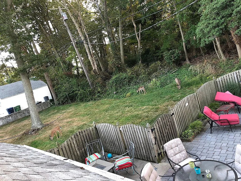 315 Oxford Way photo 1