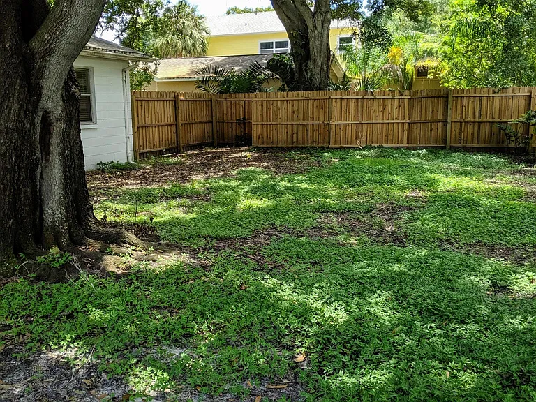 Backyard - new fence