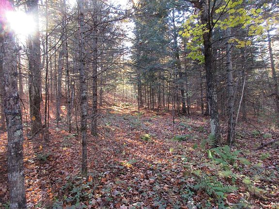 4th image of Setting Sun Blvd Lot 6
