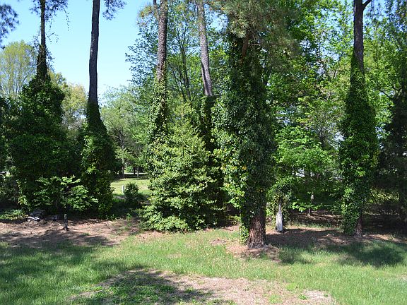 4th image of 3518 Silver Oak Ct