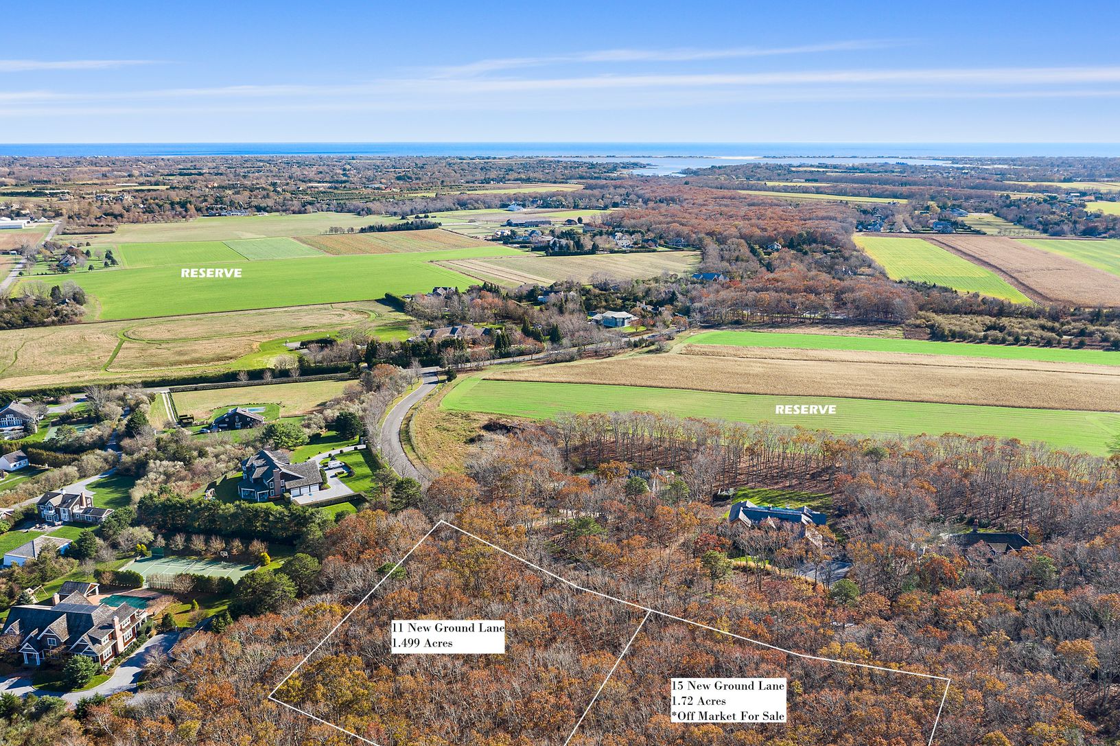  Potential Compound Opportunity