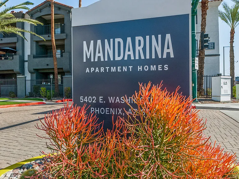 Mandarina — Photo 42