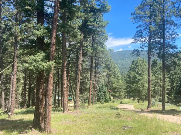 Valle Escondido Wapiti Loop, Taos, NM 87571