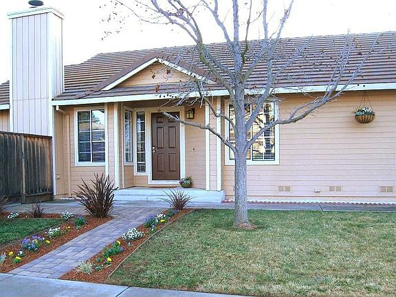 New Front Yard Landscaping