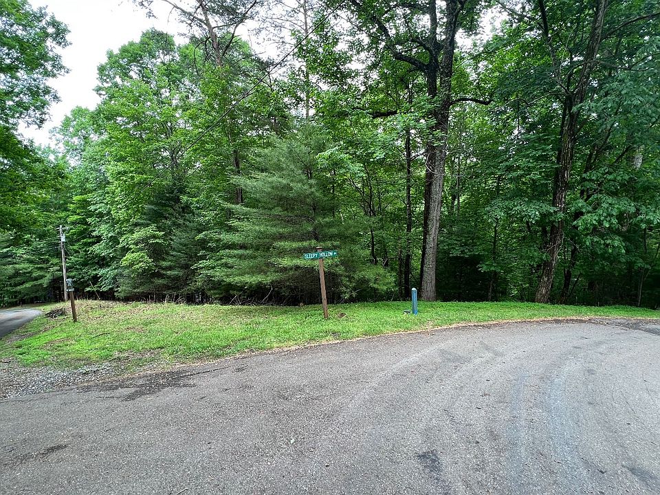 M57 Walnut Mountain Ct, Ellijay, GA 30536 Zillow