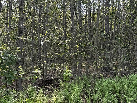 5th image of 264 E Bosket Rd