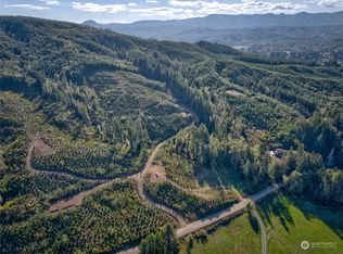 0 S Valley Rd TRACT 1, Naselle, WA 98638