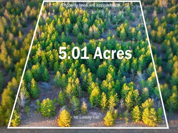 0 NE Loblolly Trl, Lee, FL 32059