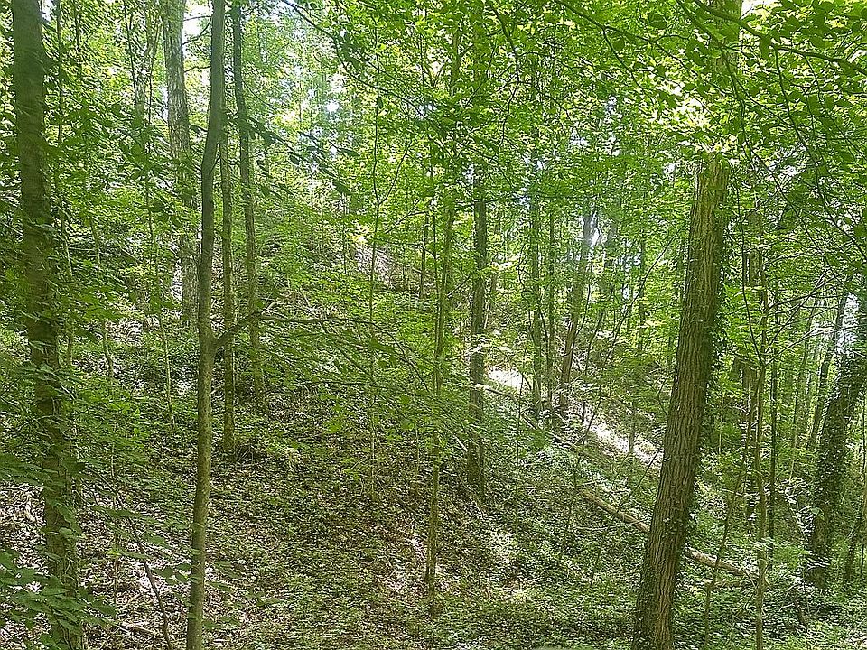 1st image of Pocahontas Cir