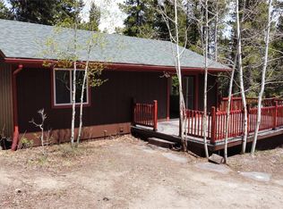126 S Skyview Dr, Nederland, CO 80466