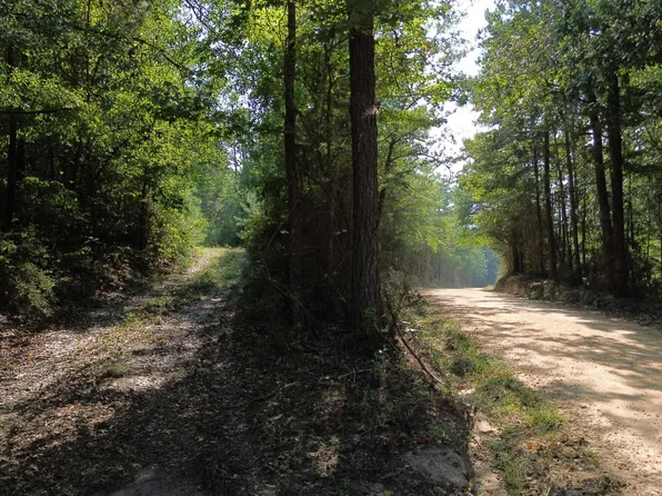 0 County Road 350, Billingsley, AL 36006