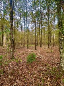 0 Highway 454 #2, Pineville, LA, 71360