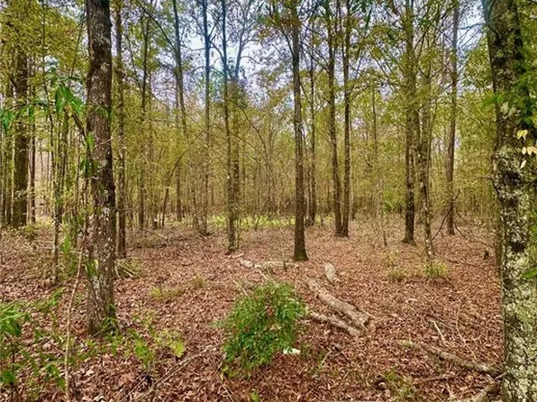 0 Highway 454 #2, Pineville, LA 71360