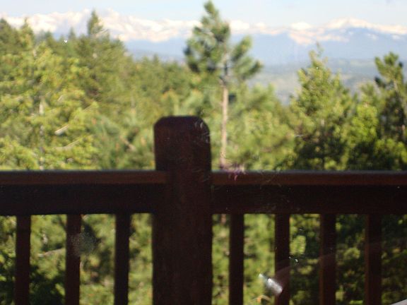 View from the living room