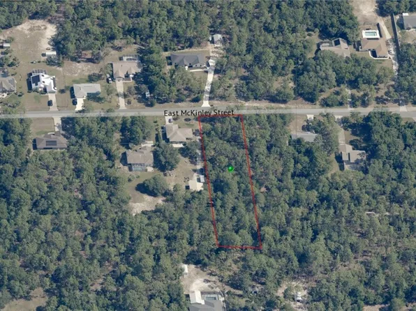 1634 E McKinley St, Hernando, FL 34442