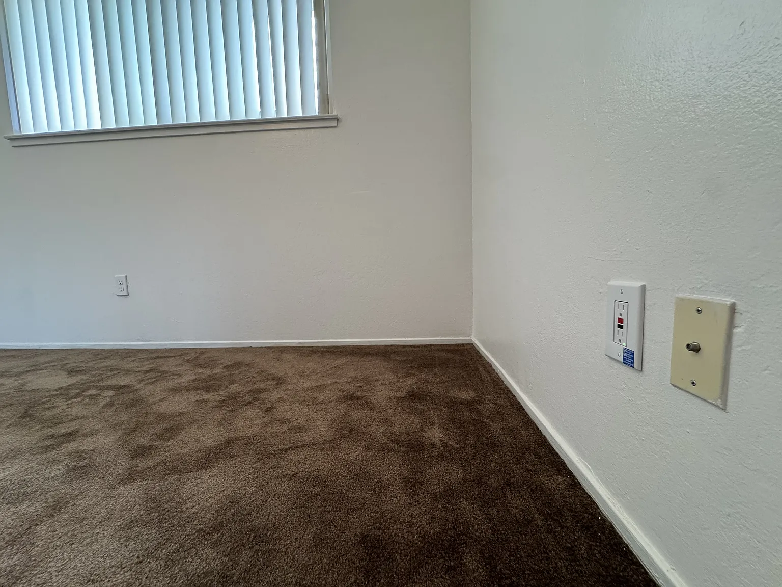 2 bed, 800 sqft, $2,900 — Photo 3