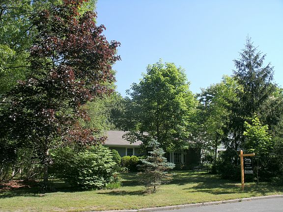 4th image of 7 Cedar Ln
