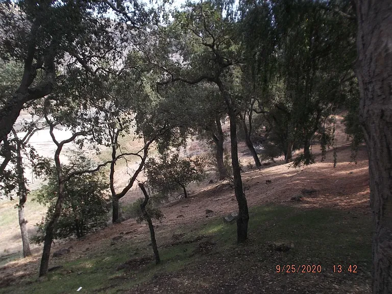 17106 Shady Lane Dr #B — Photo 2