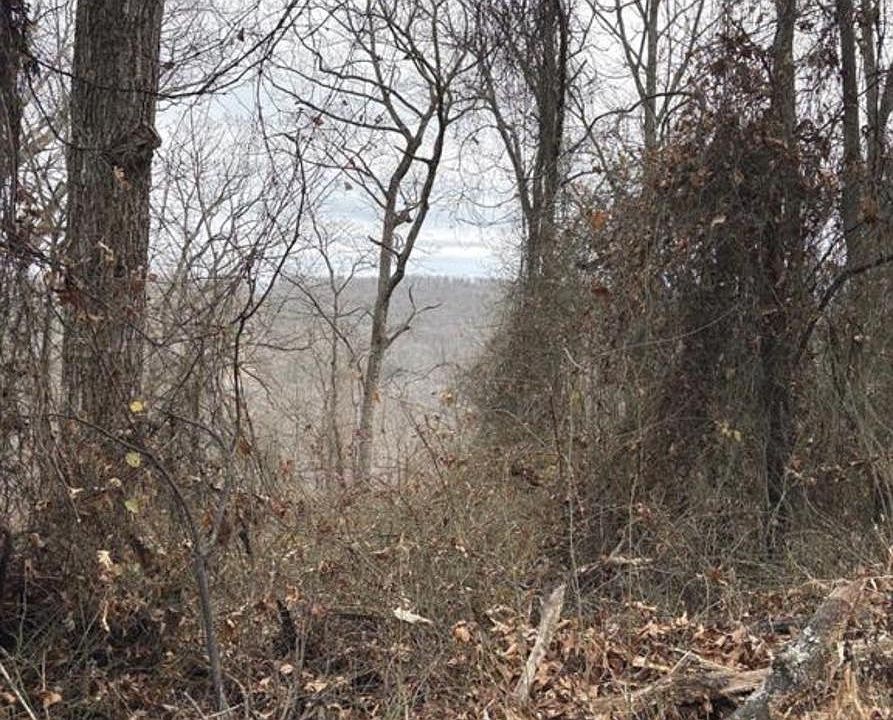 2nd image of 274 Dehaven Dr