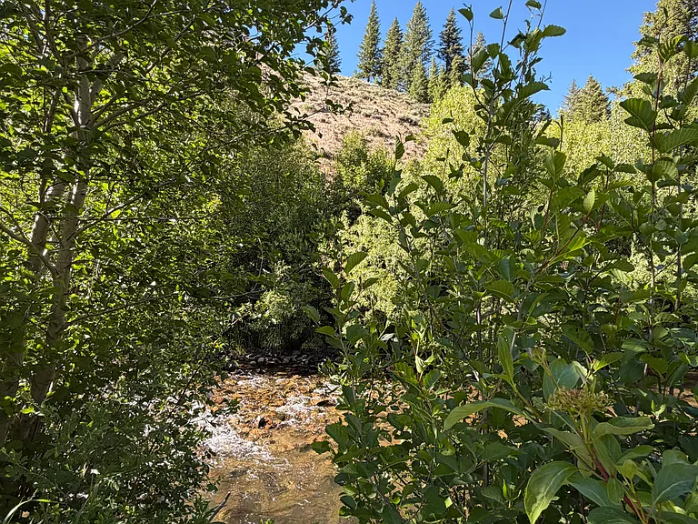 Whipsaw Ln — Photo 12