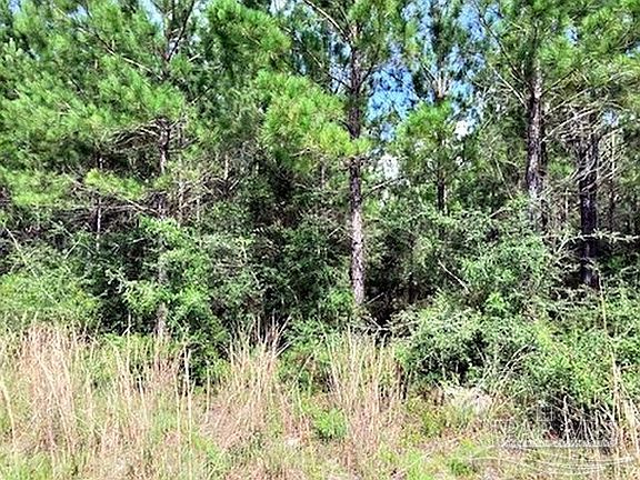3rd image of LOT 35 Molino Bridge Rd