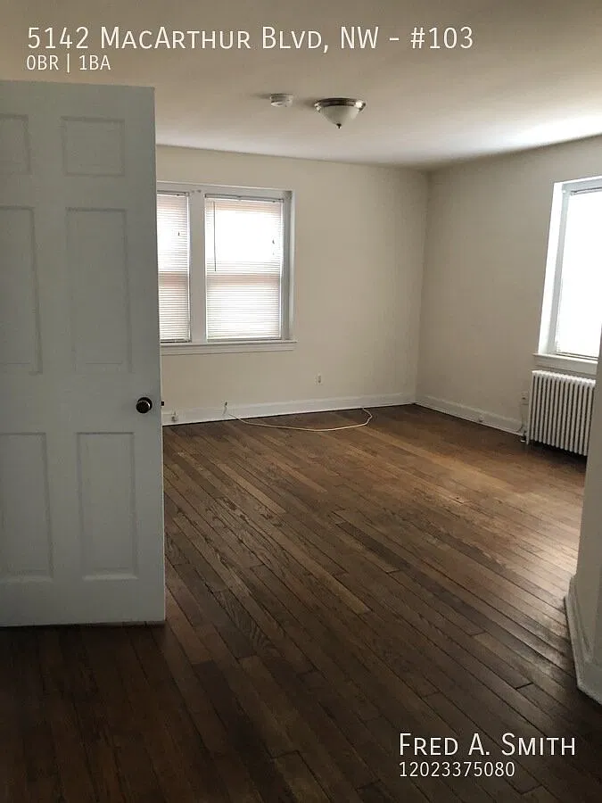 Great Studio Apartment in Palisades! — Photo 2