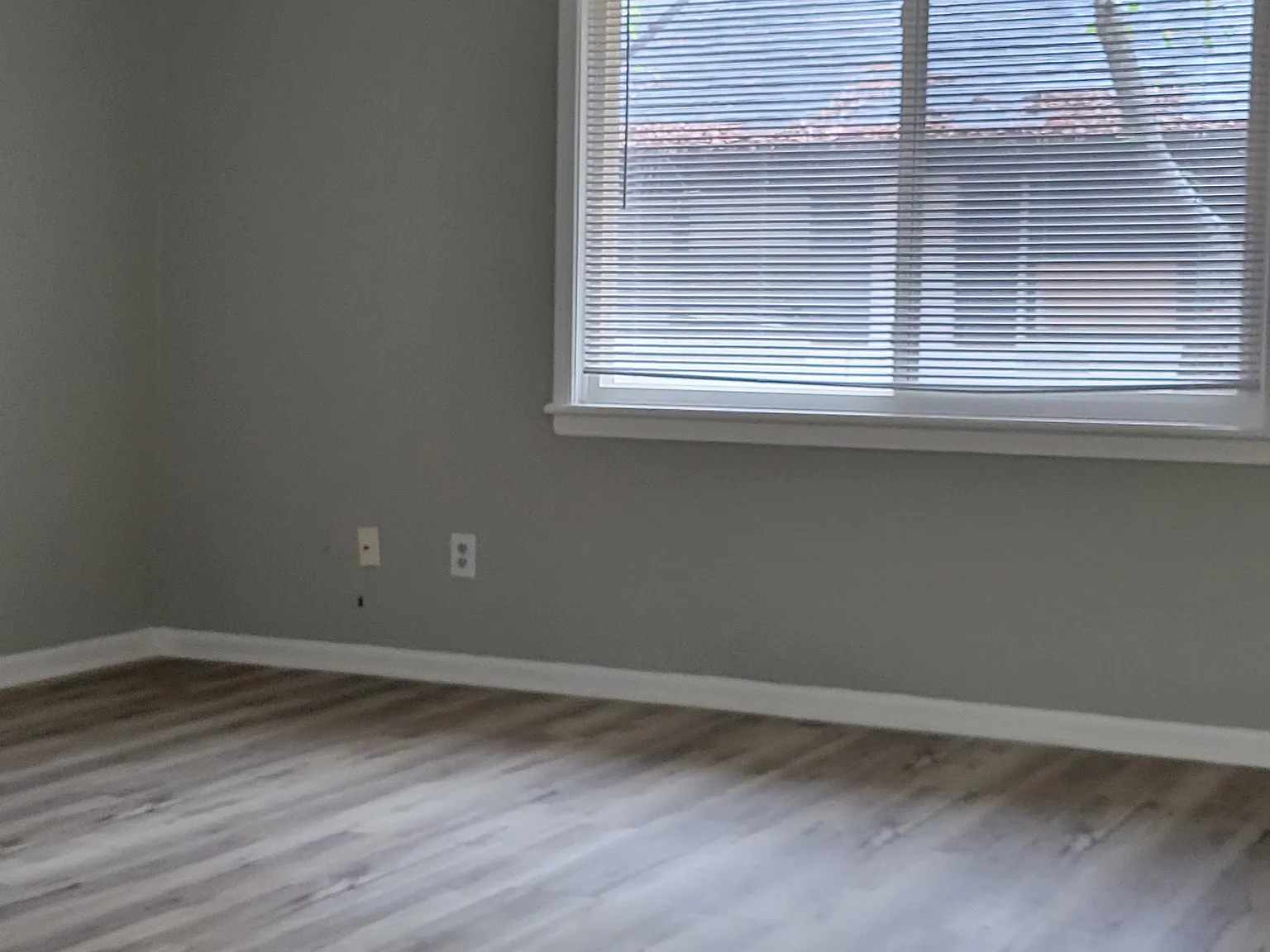 2 bed, 800 sqft, $1,350 — Photo 2