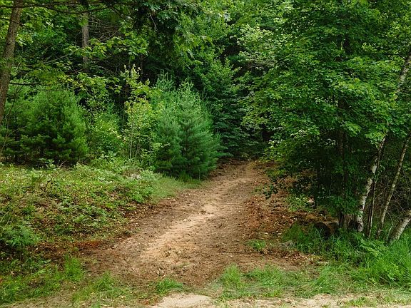 2nd image of Lot 0 Pine Road