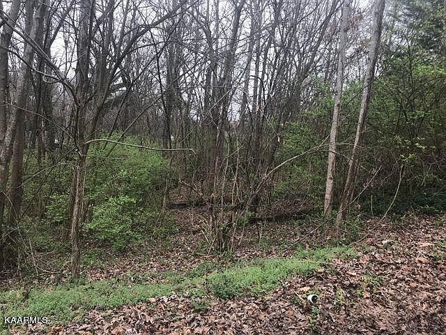 1st image of 613 Sam Moses Ln