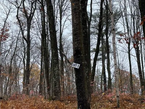 Lot 5 Eagles Nest Road, Birchwood, WI 54817