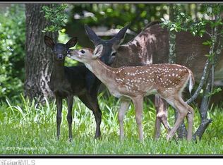 9 State Line Church Rd #9, Westfield, NC 27053