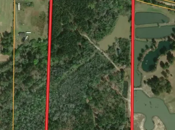 Reed Patch Rd, Black, AL 36314