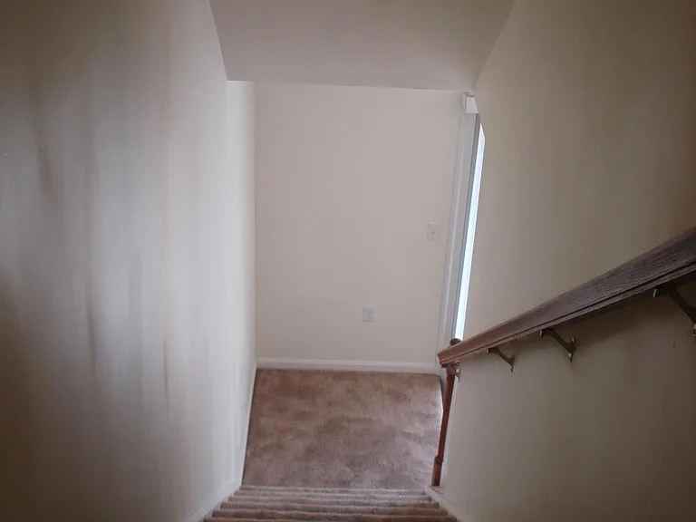 10499 Timber Edge Dr #10499 — Photo 23