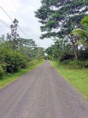 1st image of 12th Ave
