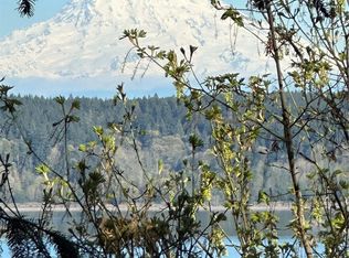 10911 Seaview Dr, Anderson Island, WA 98303