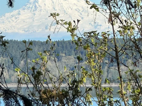 10911 Seaview Drive, Anderson Island, WA 98303