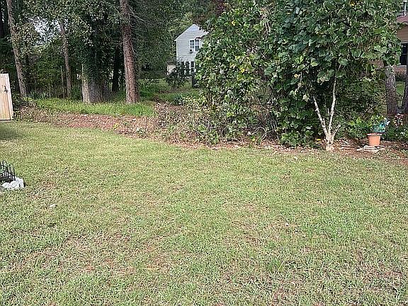 Yard area 