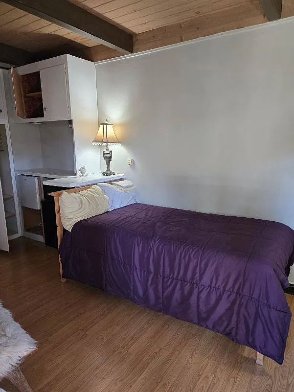 1 bed, 325 sqft, $2,500 — Photo 2