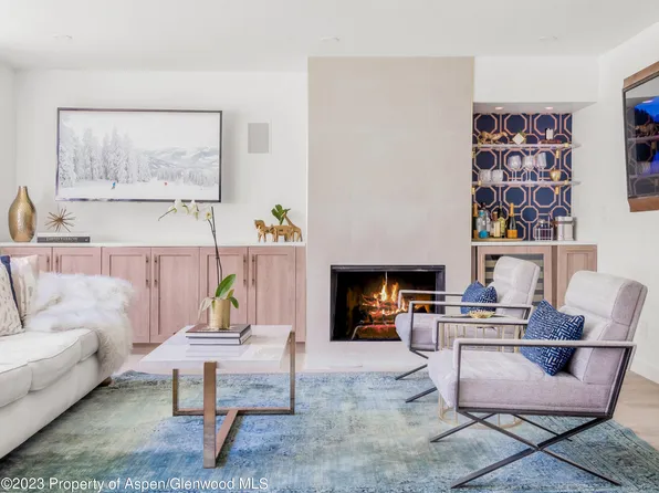 1020 E Durant Ave APT 101, Aspen, CO 81611