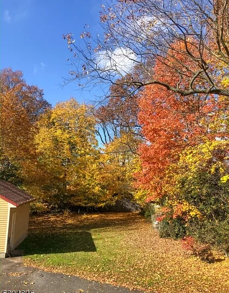 110 Montclair Ave — Photo 49